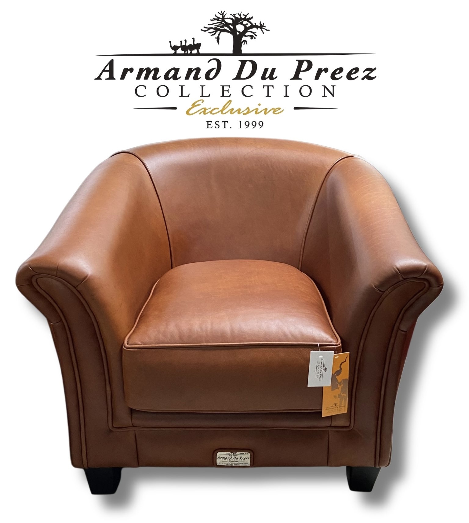Executive Leather Tub Chair Front View