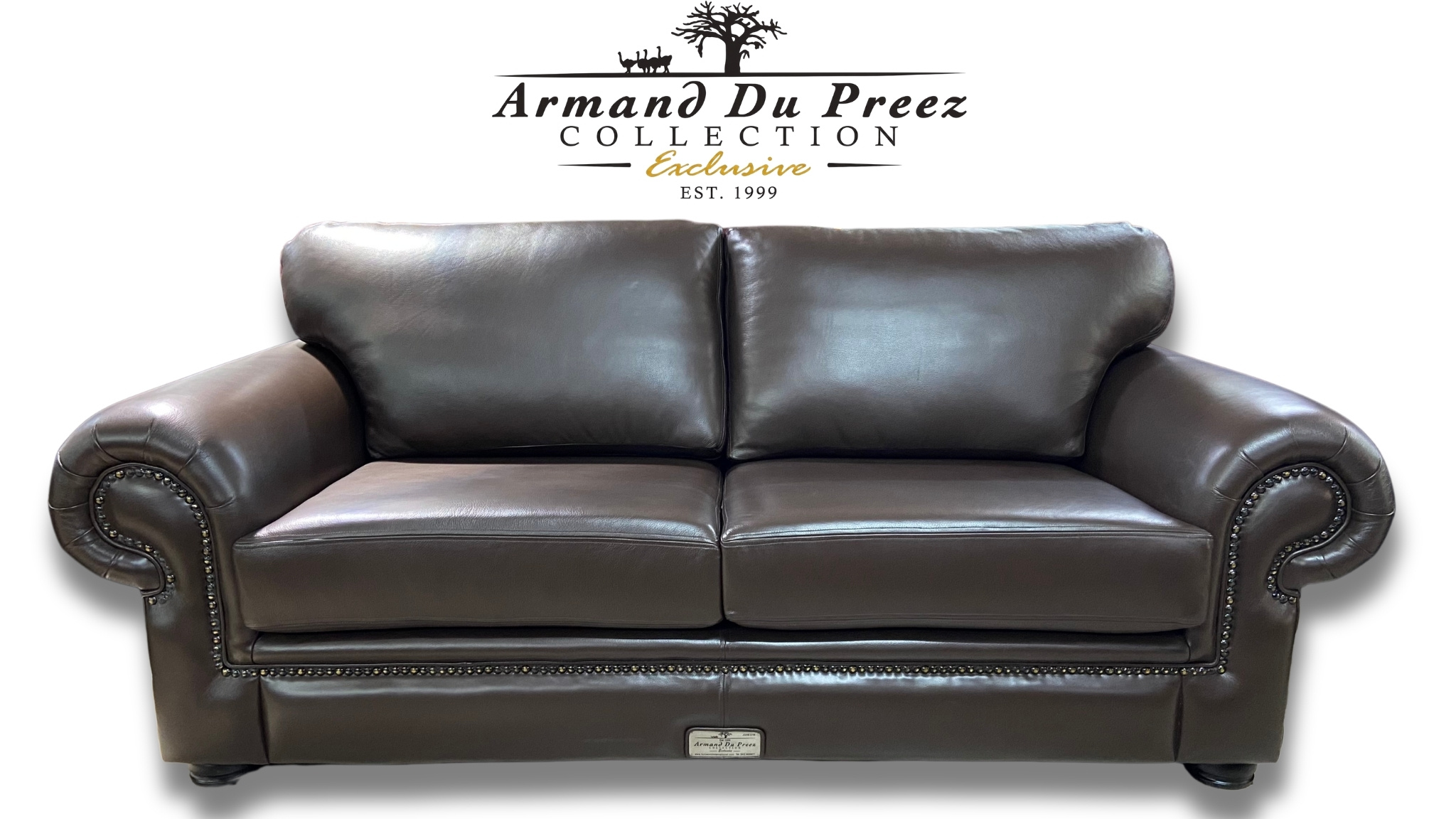 Shamwari Leather Couch Front View